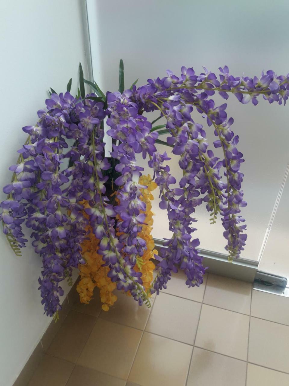 Hotel Casa Jardin Asuncion Luaran gambar